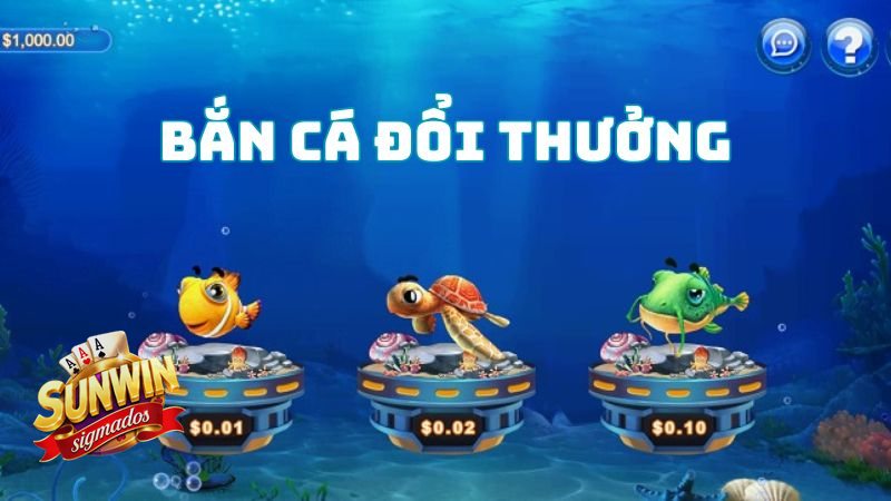 Bắn Cá Hải Tặc - Chủ đề hải tặc tạo cảm giác săn kho báu