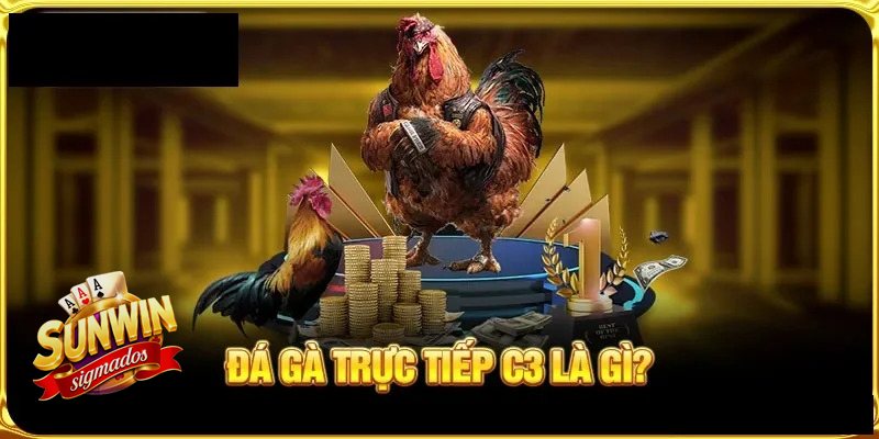 Đá Gà Cựa Sắt - Những cửa cược thường gặp